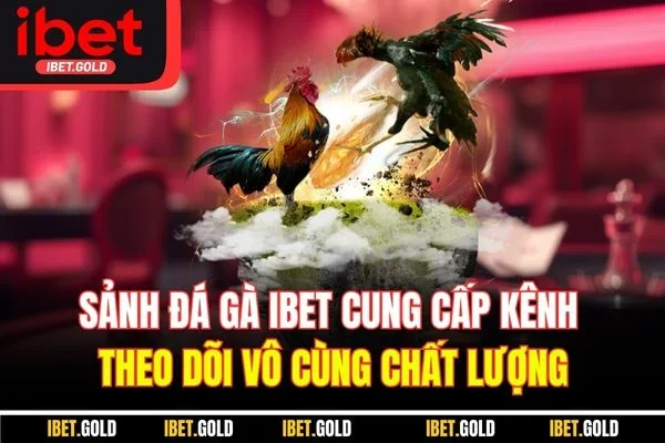 Sảnh đá gà IBET cung cấp kênh theo dõi vô cùng chất lượng