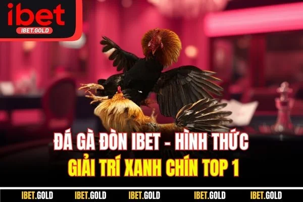 Đá Gà Đòn IBET - Hình Thức Giải Trí Xanh Chín Top 1