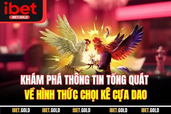 Khám phá thông tin tổng quát về hình thức chọi kê cựa dao