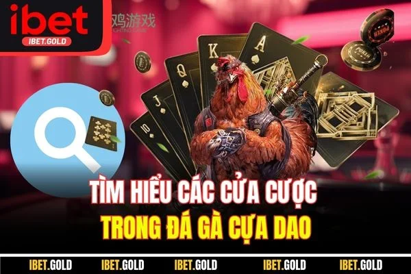 Tìm hiểu các cửa cược trong đá gà cựa dao