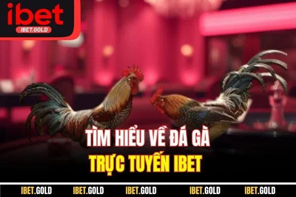 Tìm hiểu về đá gà trực tuyến Ibet  